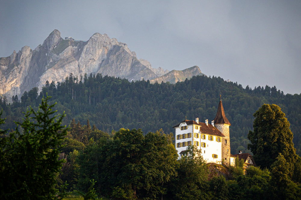 Eva Brunner, SCHLÖSSLI #30