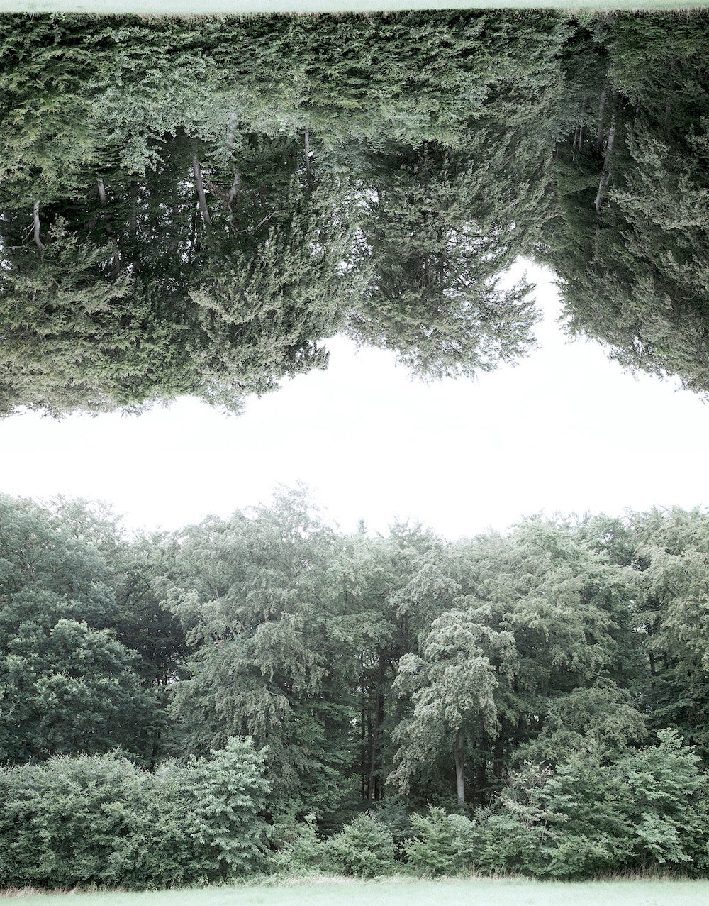 Alexandra Wolframm, Split Landscape, Wald, Spiegelung, Landschaft, Mensch und Natur, Vision und Imagination, Aspekt der Zeit, Die Landschaft als Erscheinung und Metapher der Natur, Accademia di Belle Arti di Roma, in Rom, Italien, Peninsula e.V., deutsch-italienischen Künstlerszene, Ausstellung im In- und Ausland , Limited Photography Editions Online, VTph editions 