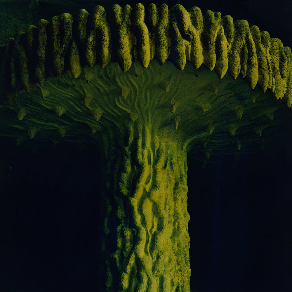 Alexander Gehring VTph editions